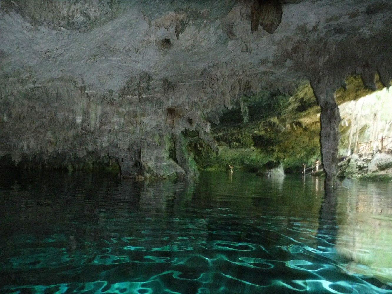 Cenote/Lagoon Tour (Private, Half Day)