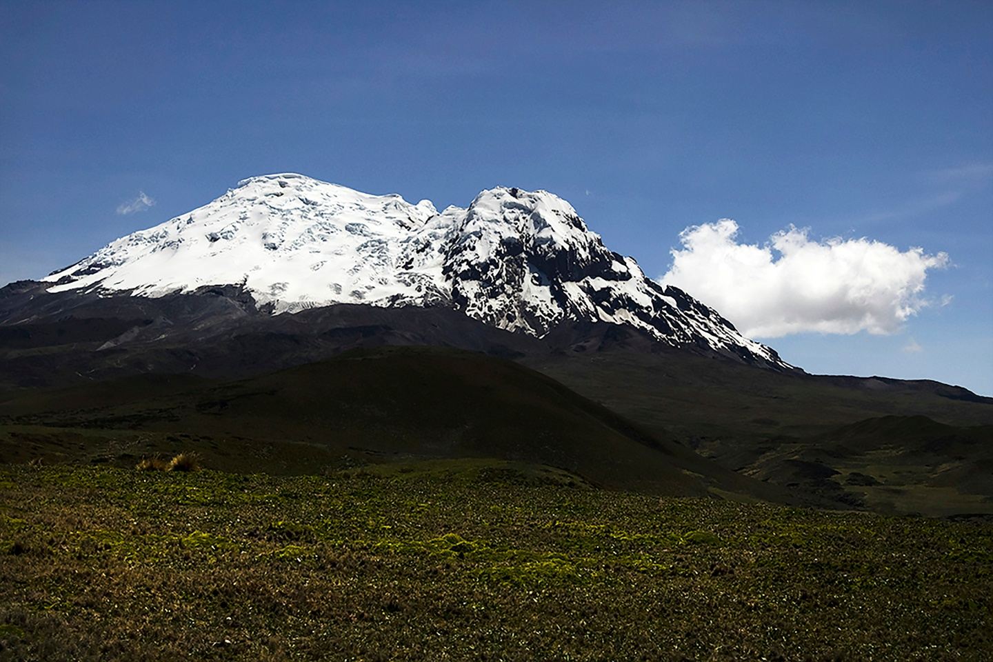 8 Days Kilimanjaro Lemosho Route with Kosovo Camp