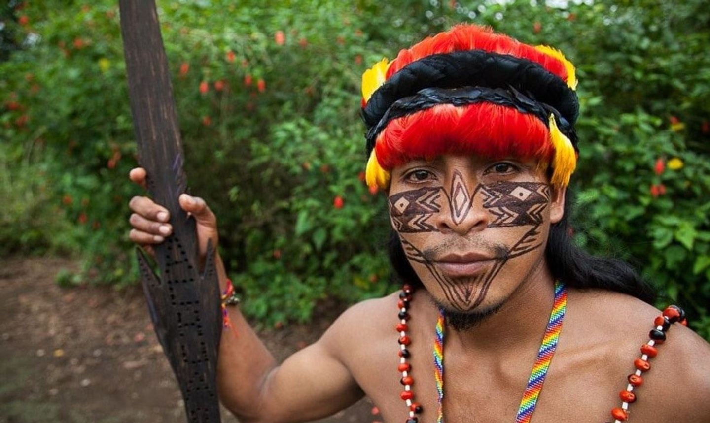 Rainforest Immersion  June 27-July 7, 2024