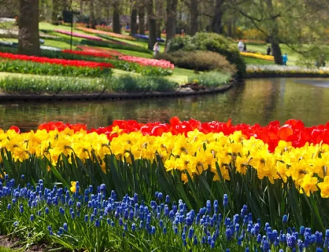 The Liberation of the Netherlands: 80th Anniversary Tour 2025