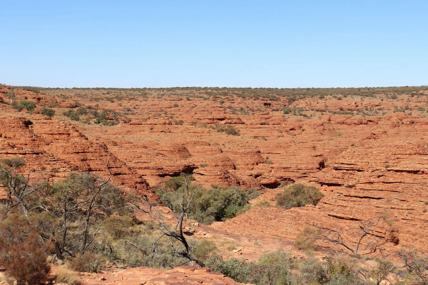 Red Centre & Uluru Explorer