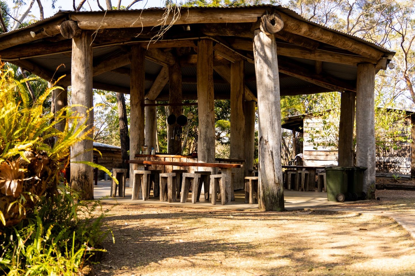 🌴 Rainforest to Reef – Thorsborne Trail Adventure Experience