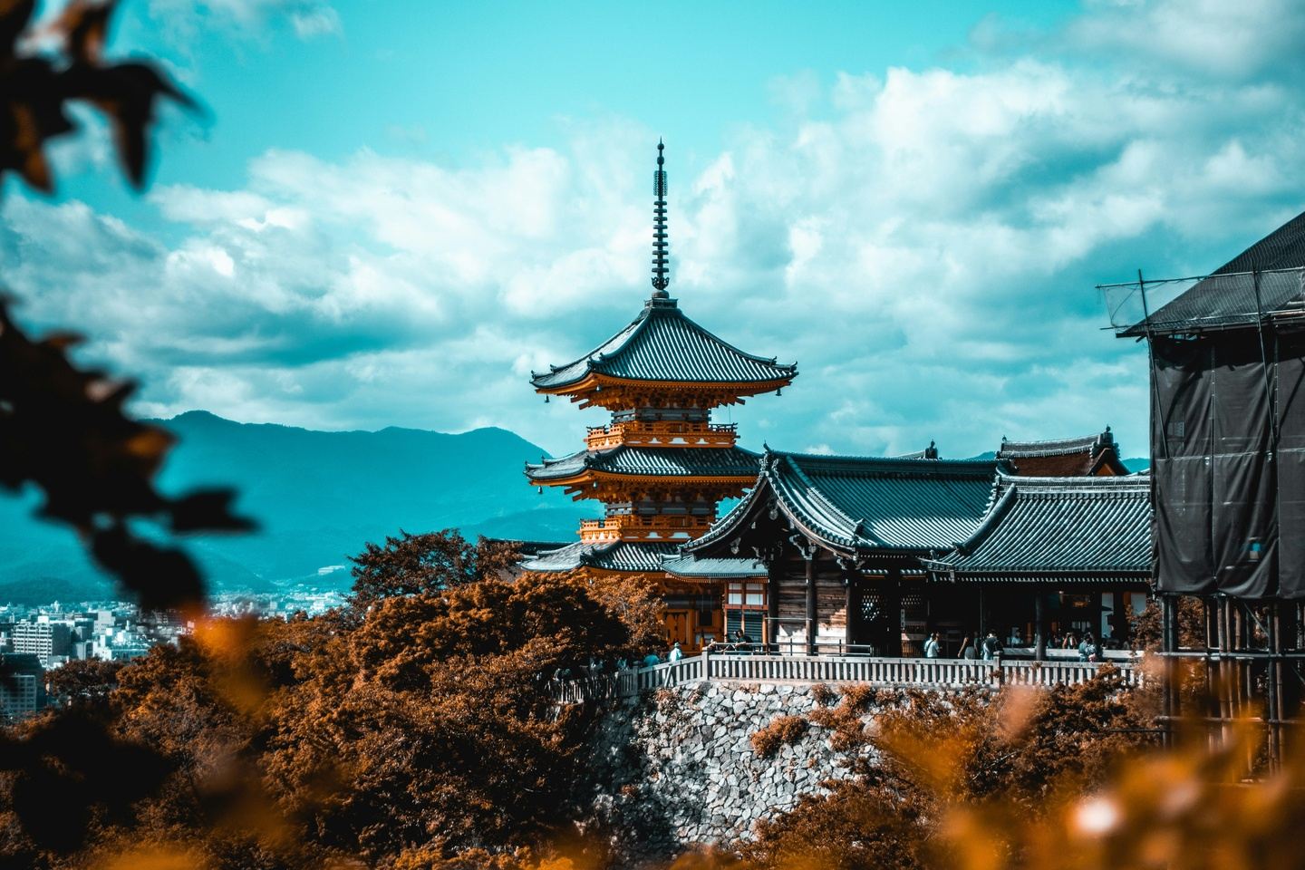 COPY - TEST TRIP