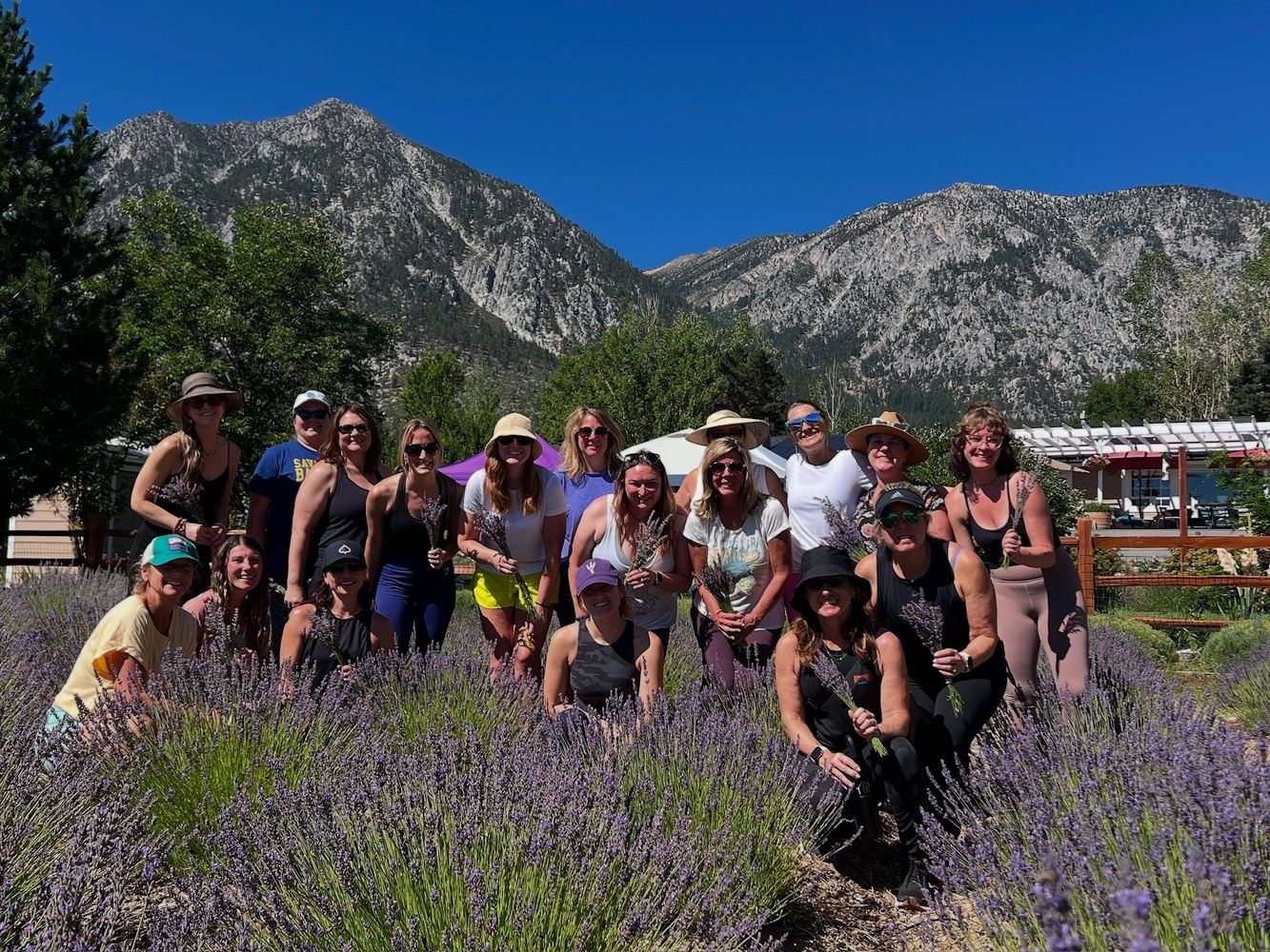 Lavender Fields Experience: Yoga, Painting, Bouquet Picking  & Brunch