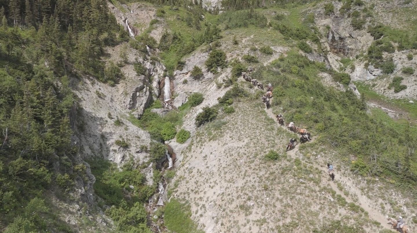 3-Day Back Country Horseback Pack Trip