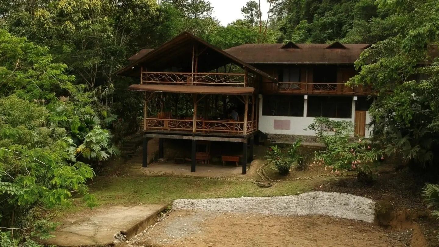 Amazon Jungle: 1 to 7 days with Gaia Lodge