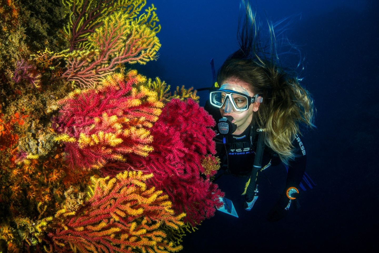 6 Days- Diani Scuba Diving Trips (10 Dives)