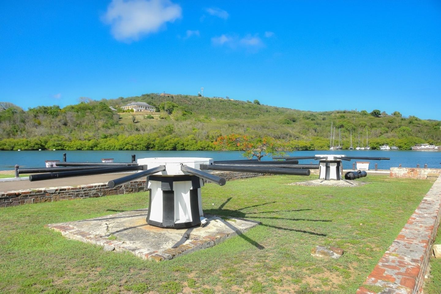 Stingray/Best Of Antigua - Tour Combo