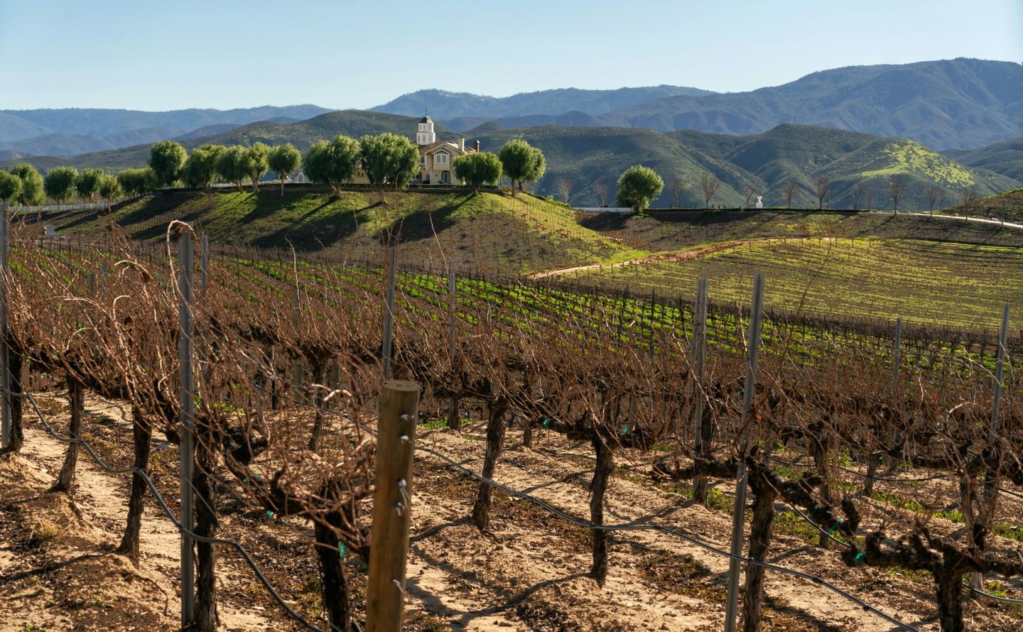 We Outside: Temecula Edition… 🍇