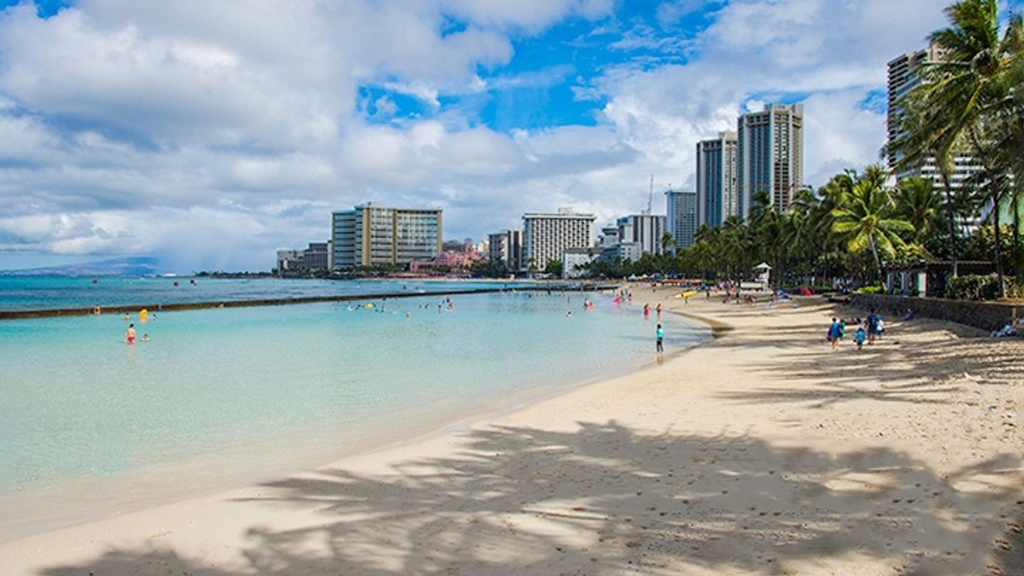 Fall Into Hawaii