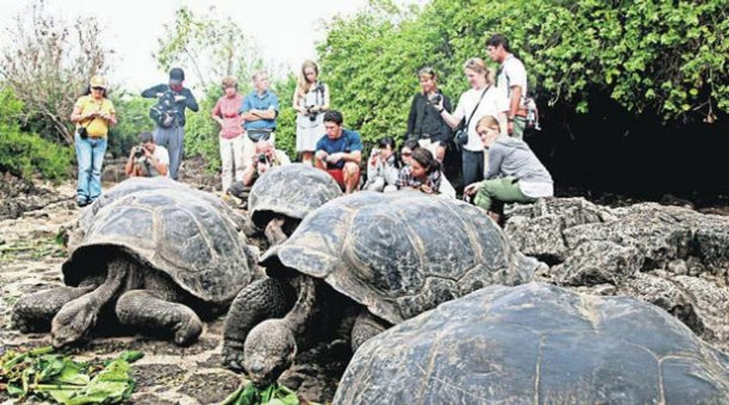 Galapagos on a budget