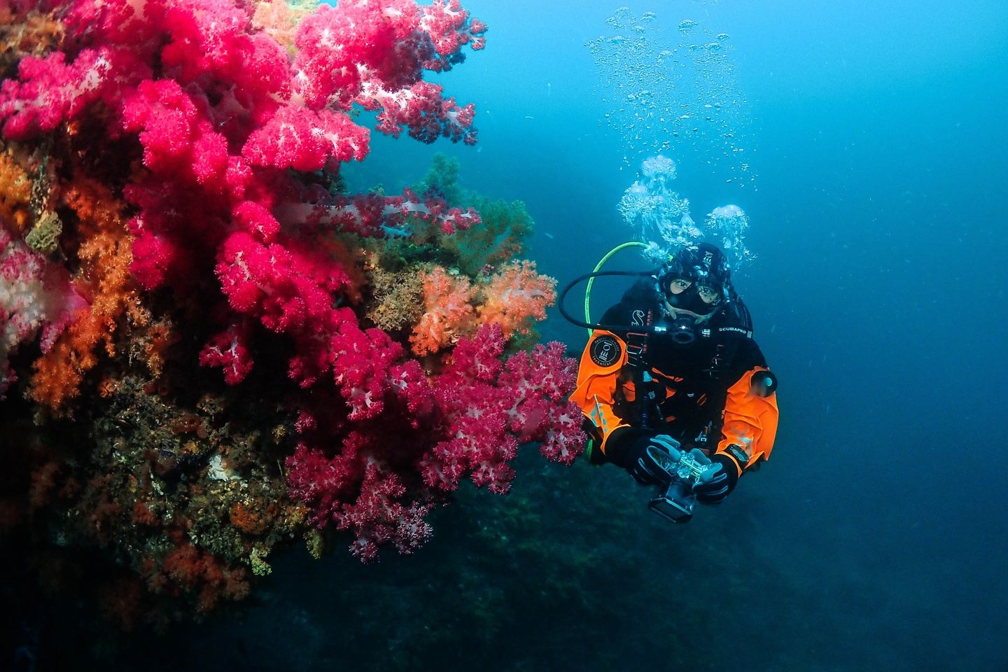 PADI DrySuit Speciality Course