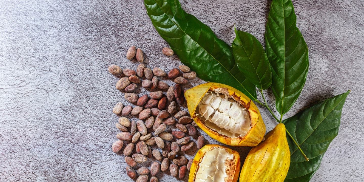 Virtual Cacao Ceremony