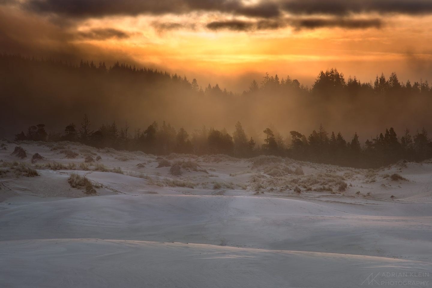 South Central Oregon Coast