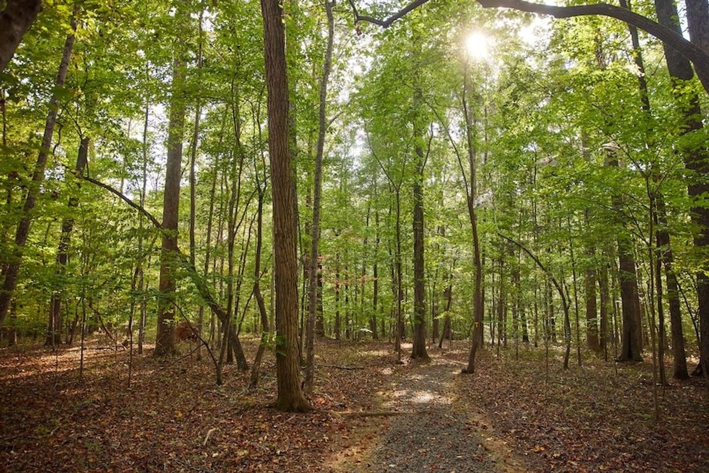A Day for the Soul: Experiencing God in the Natural World
