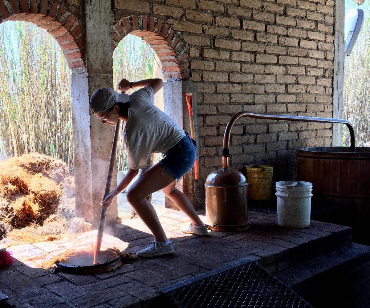 Deluxe Mezcal Tour
