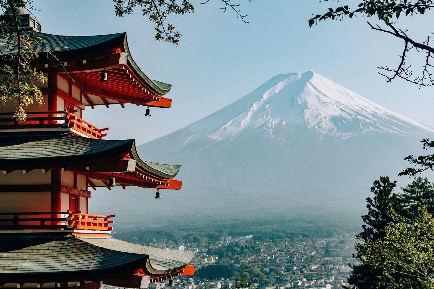 Tokyo Luxe | 8 Aug 2026