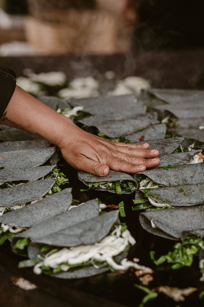 Arcane for a Day: Discover the Magic of Xochimilco’s Chinampas