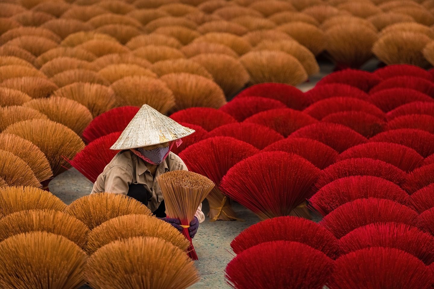 Ultimate Northern Vietnam Photography Private Tour with Ms Fan Ting