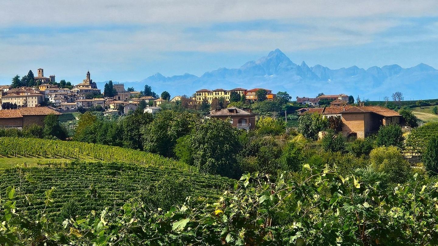 Cycling Piedmont: from Barolo's Vineyards to the Alps