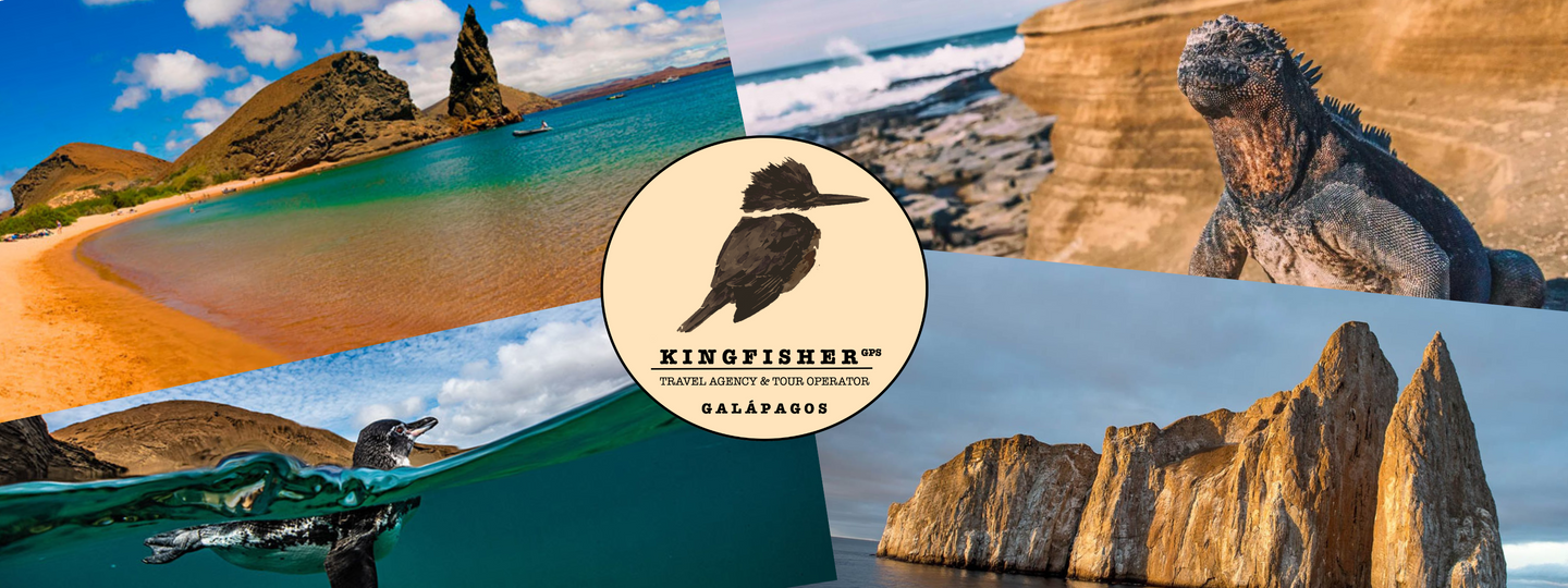 Kicker Rock, Punta pitt and Dive in kicker