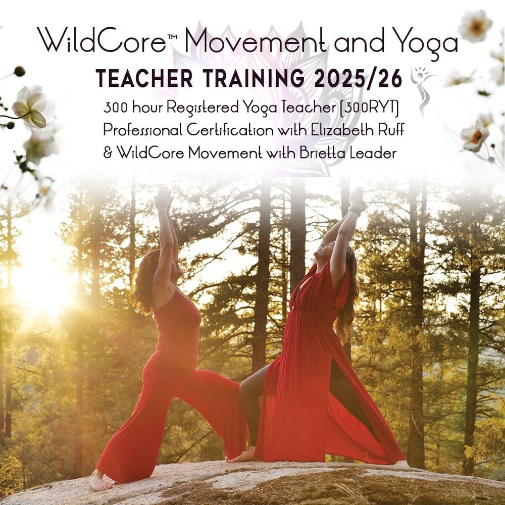 WildCore Movement and Yoga Teacher Training (copy)