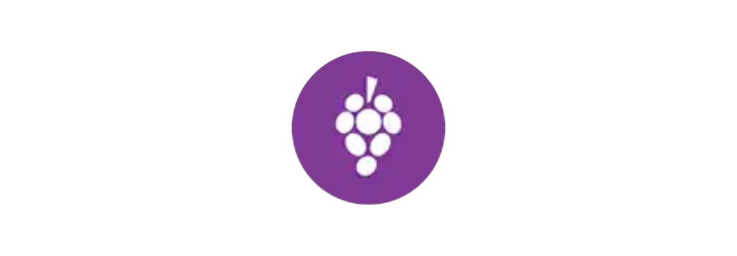 Disney Wine & Dine Half Marathon Weekend 2026 - 4* Plus Package (ENG)