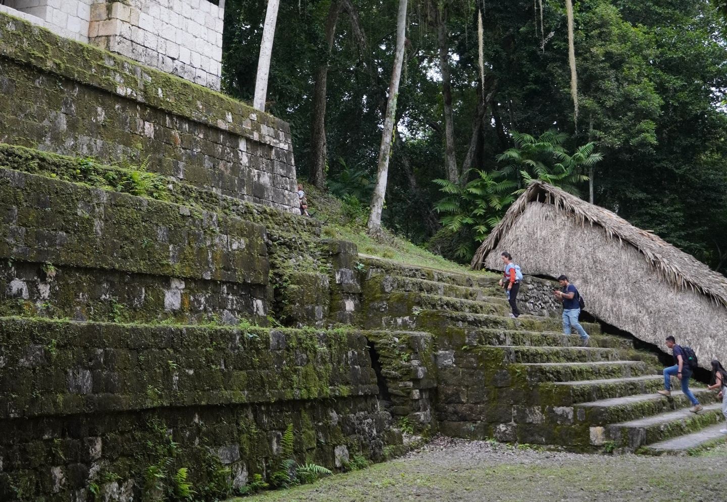 the Cradle of Maya
