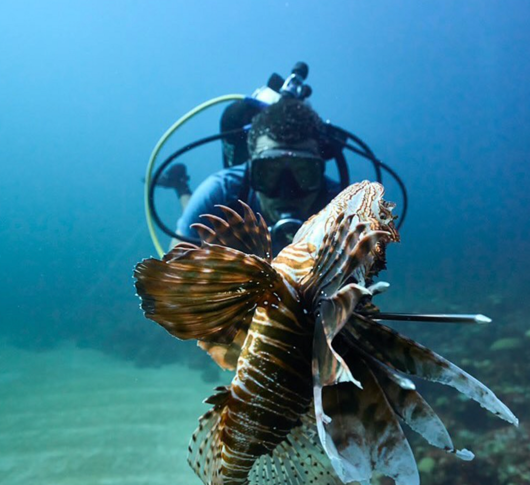 Spearfishing in Cozumel
