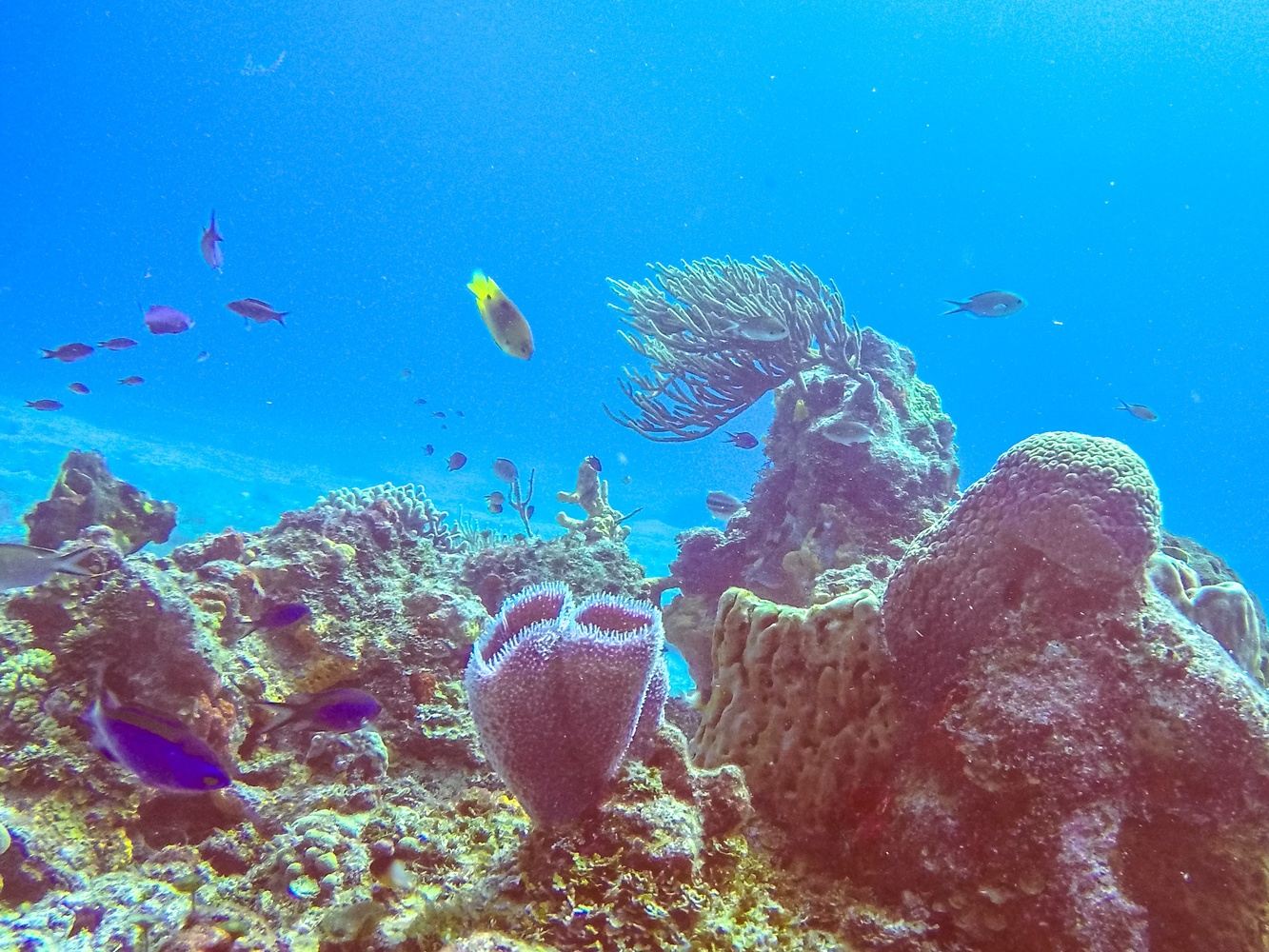Cozumel 2025