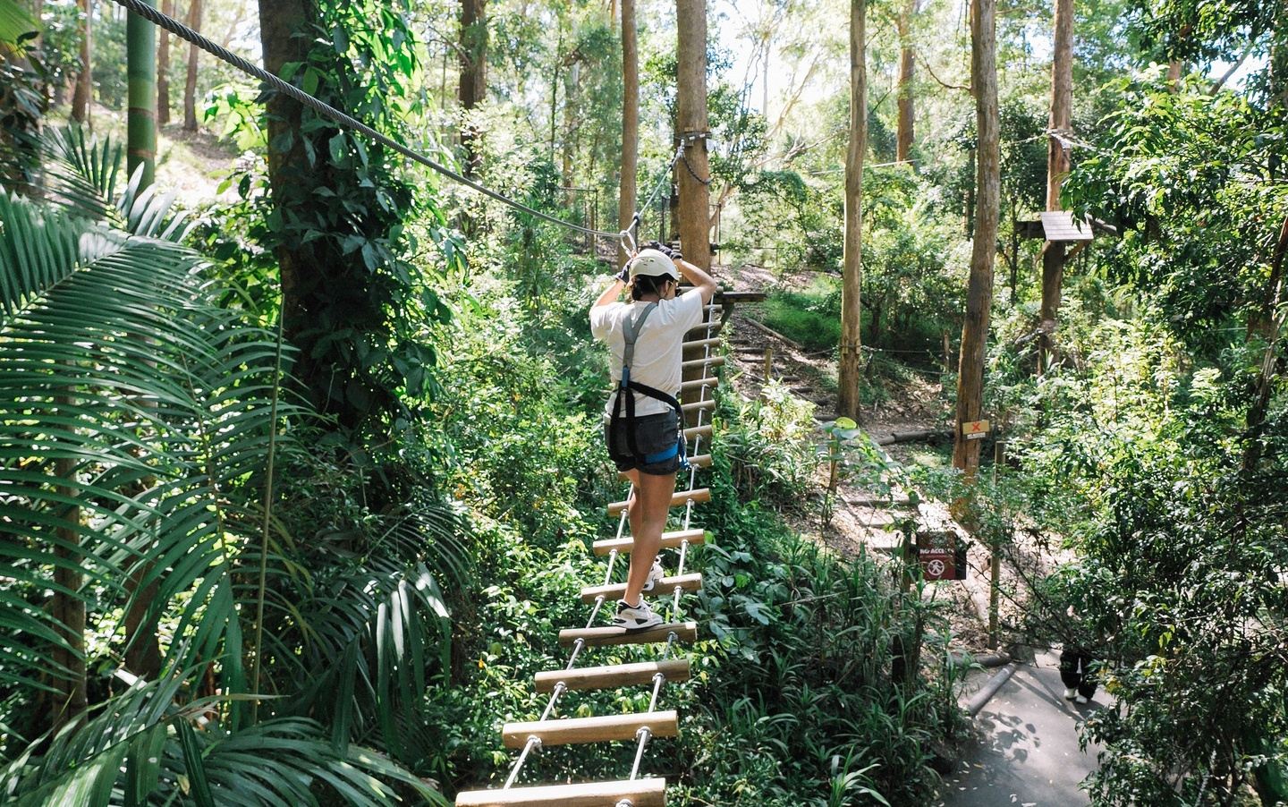 CGC x Treetops Climb and Zipline Experience