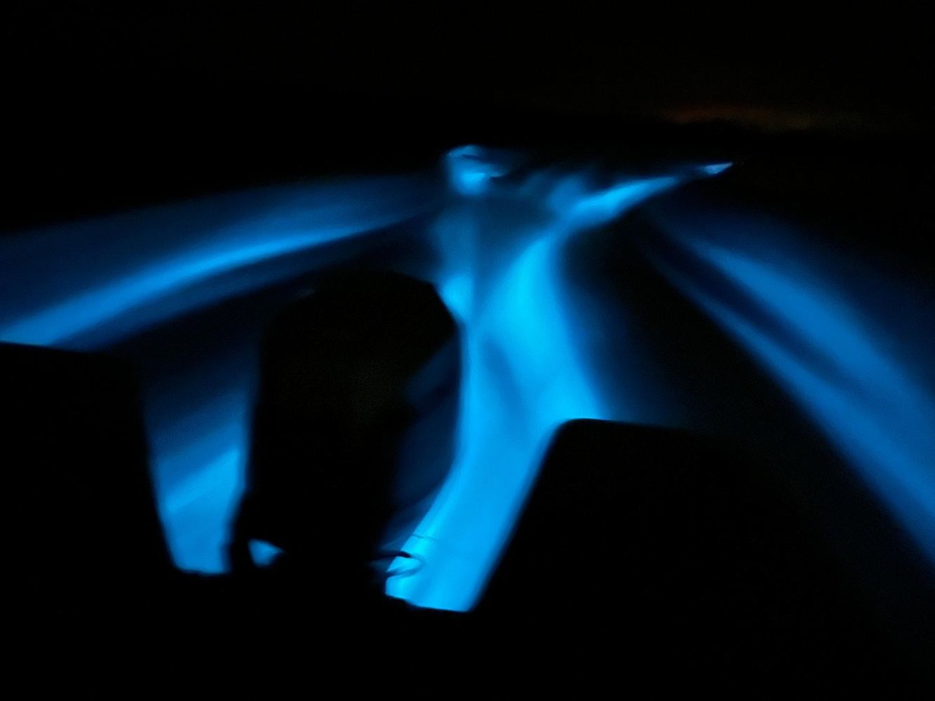 Bioluminescence Tour