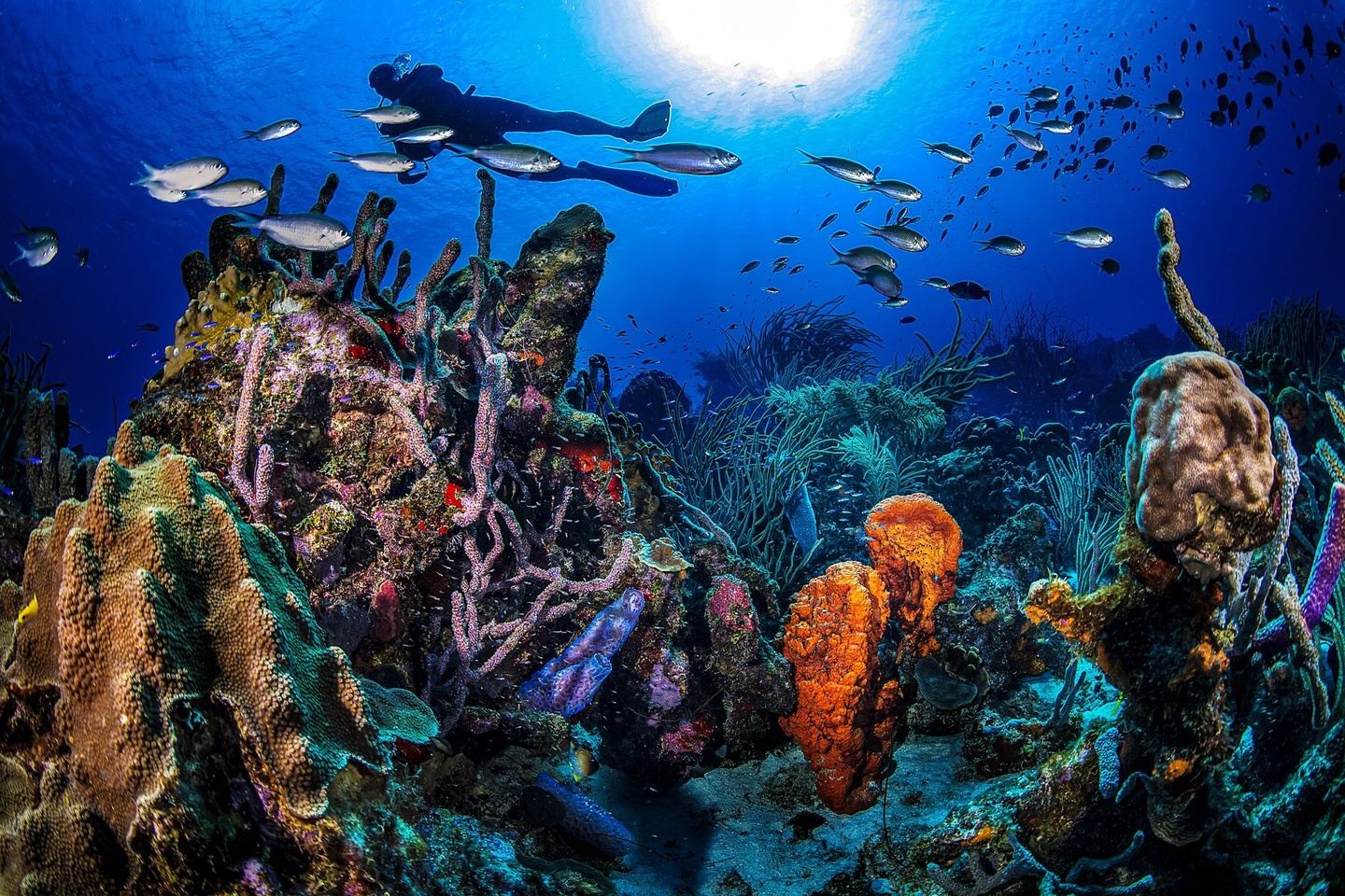 Curaçao at Coral Estate Oasis