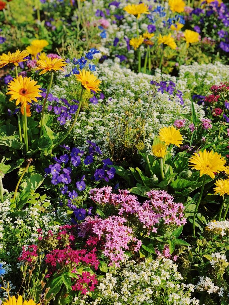 Garden Tour