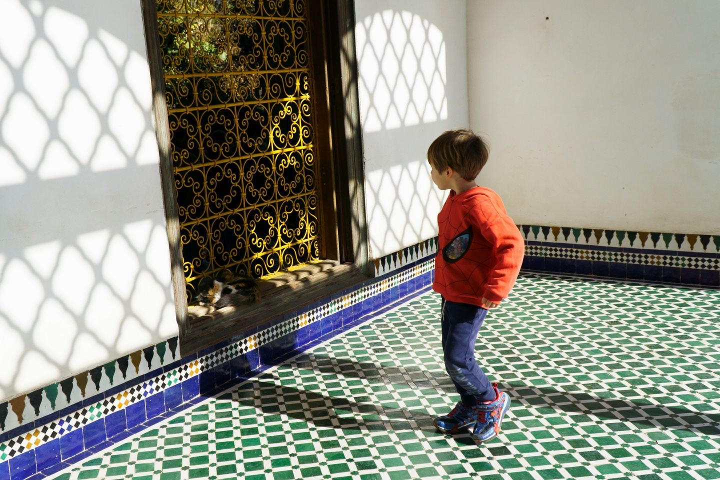 Morocco Family Adventure