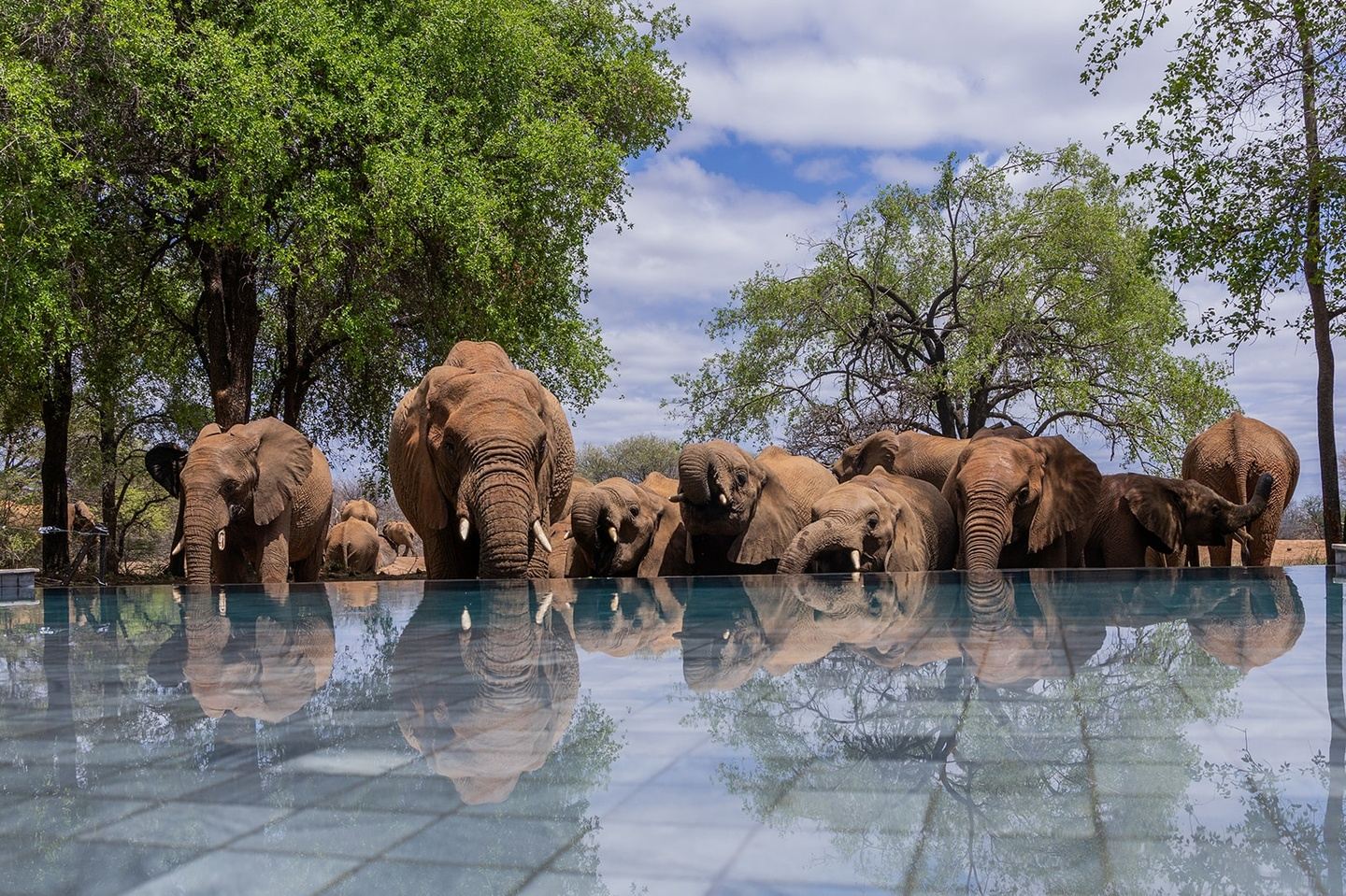 Courage To Be You: South African Wellness Adventure for Midlife Women