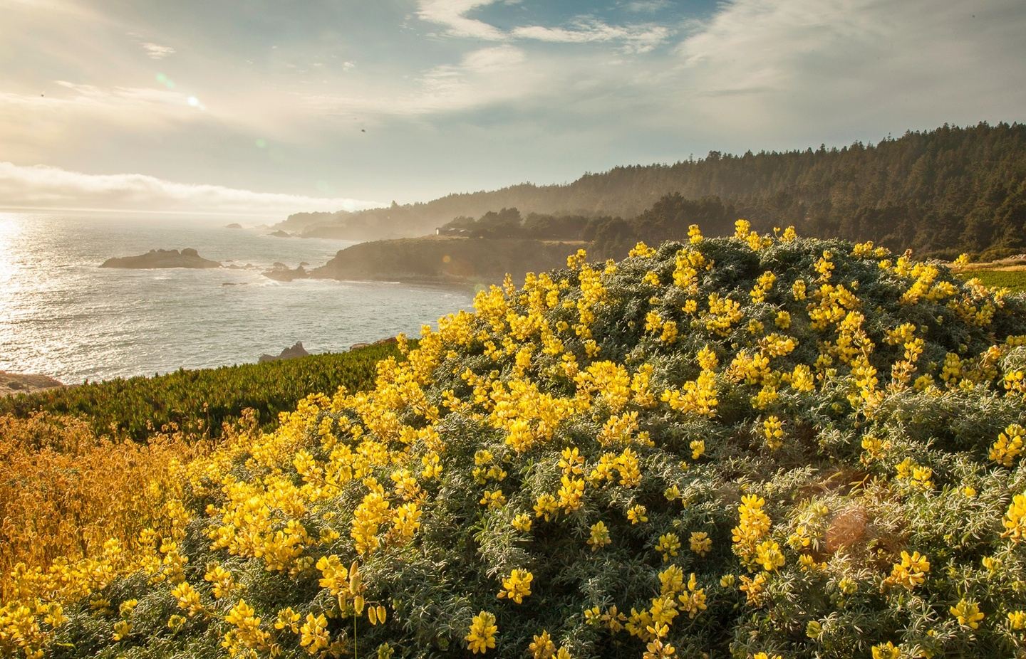 Fall Rejuvenation Retreat in Sonoma