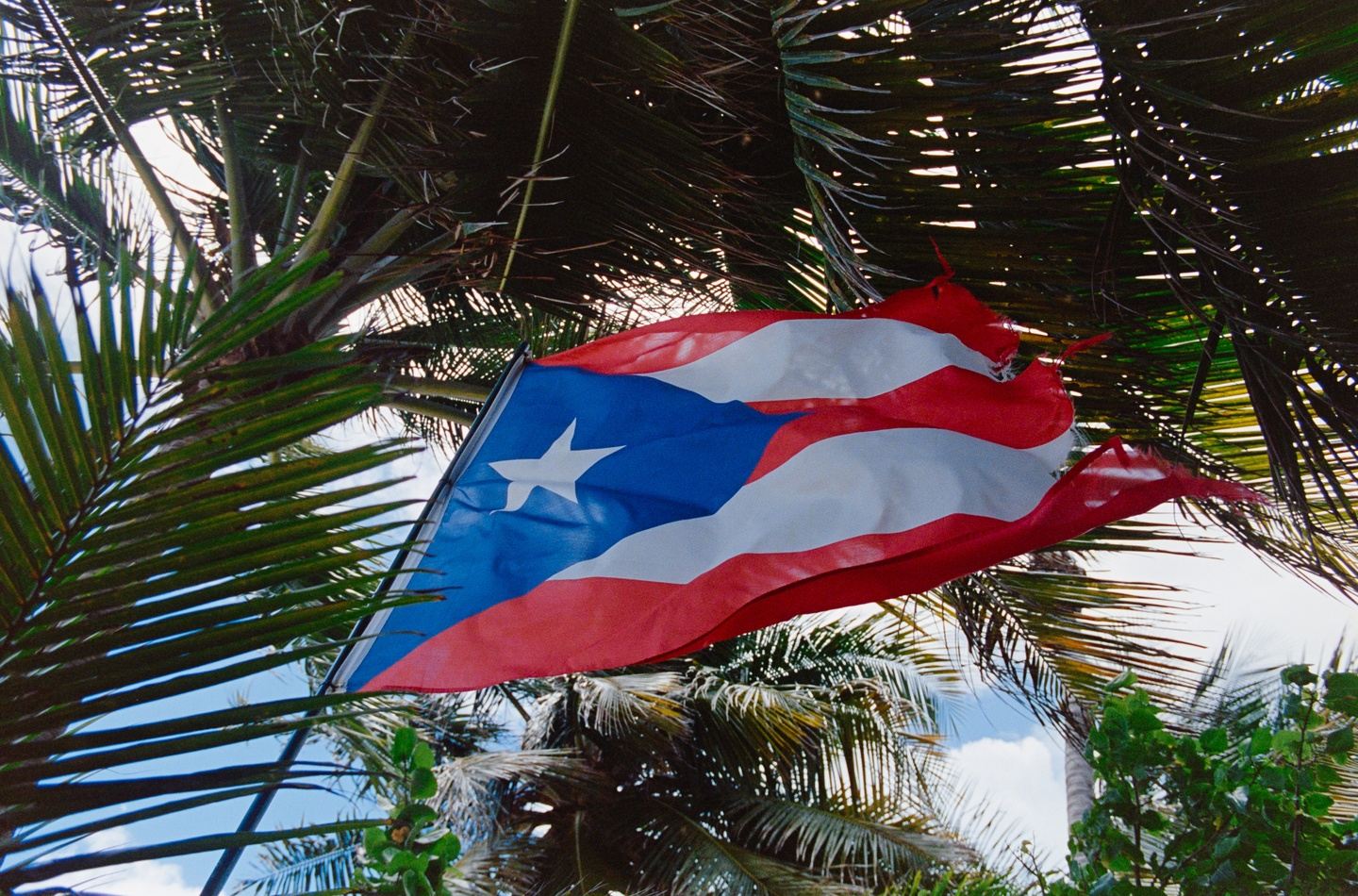 Puerto Rico Culinary Experience with Alex Milles Foodie