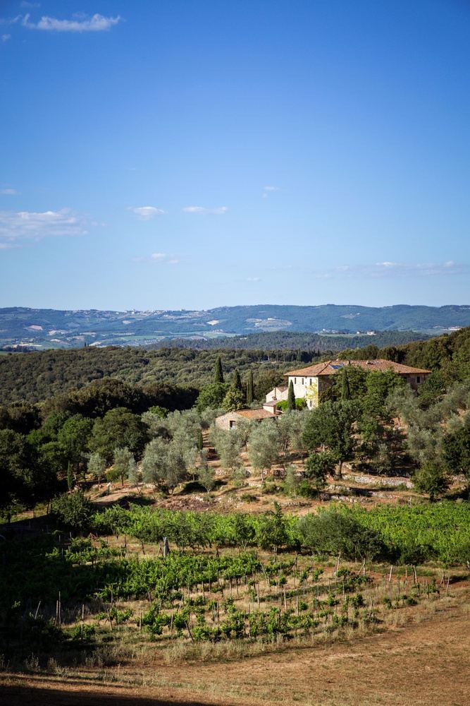 Move, Nourish & Connect in Tuscany