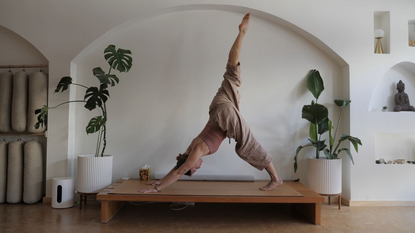 Flow Immersion - Asana, Energetics & Creative Teaching