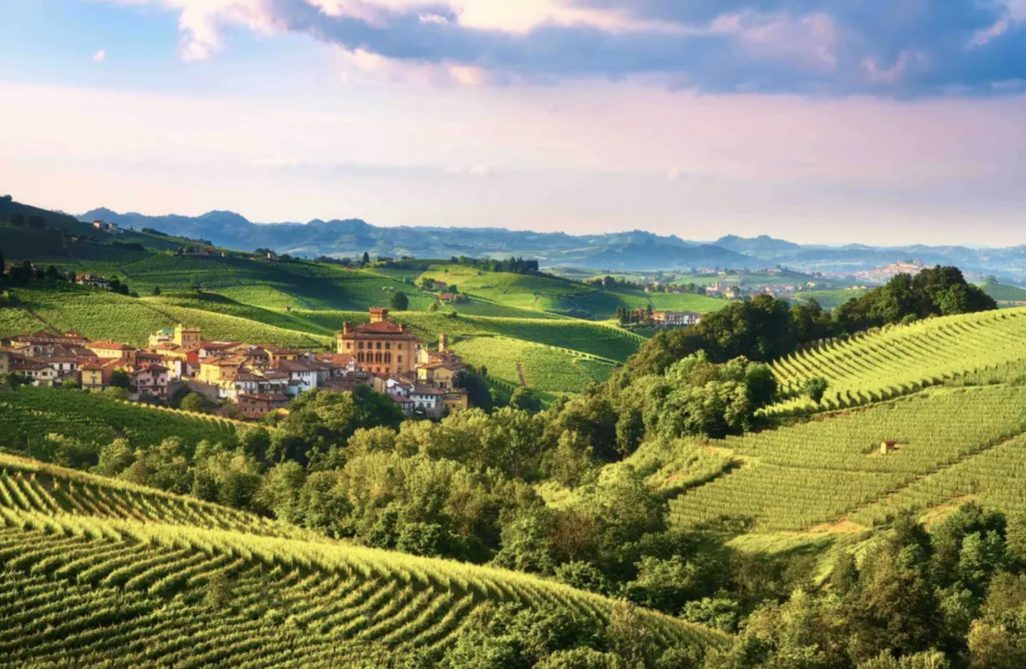 Italian Food and Wine Tour