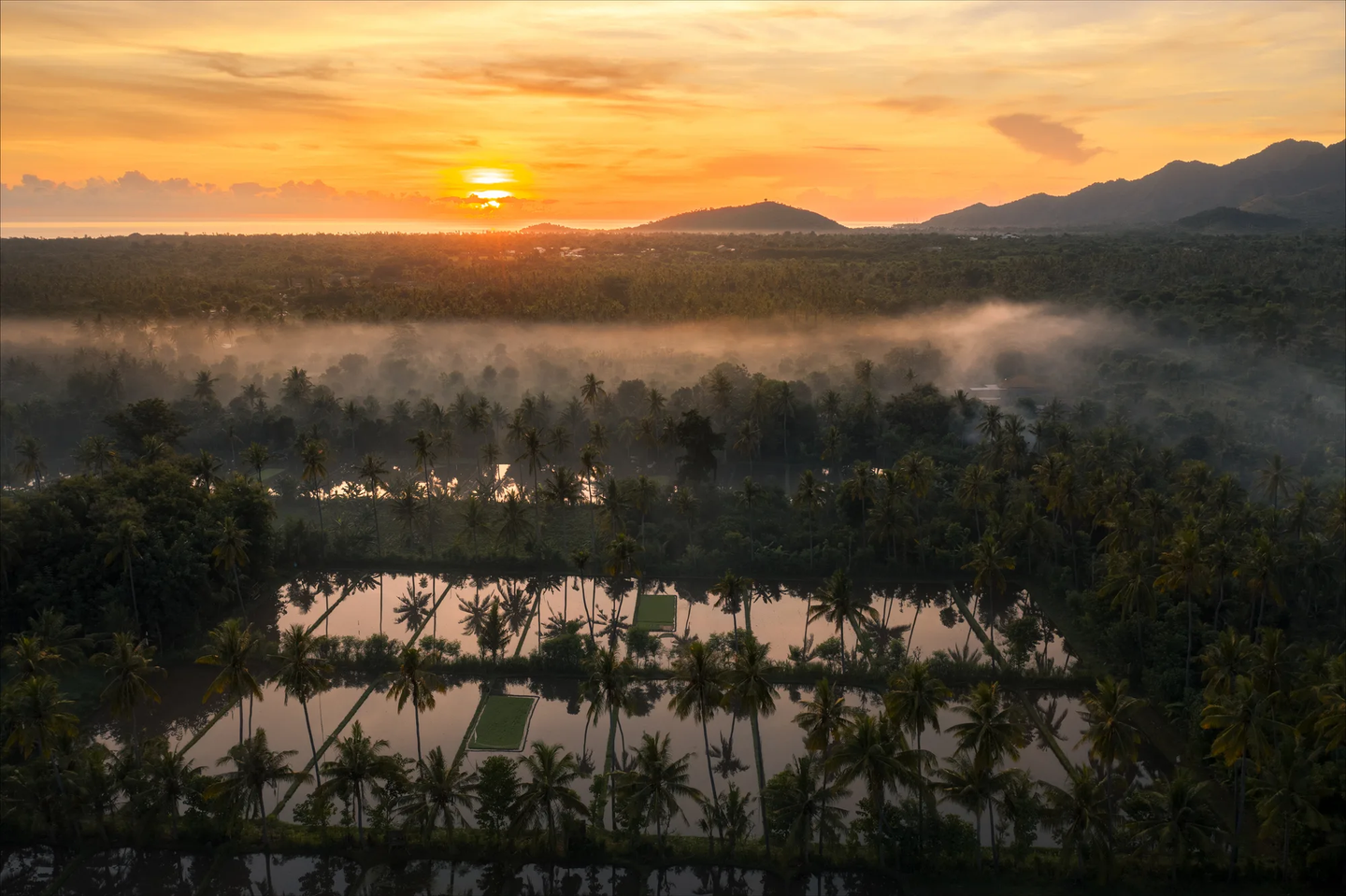Build Your Retreat Business on the Hidden Coast of Bali