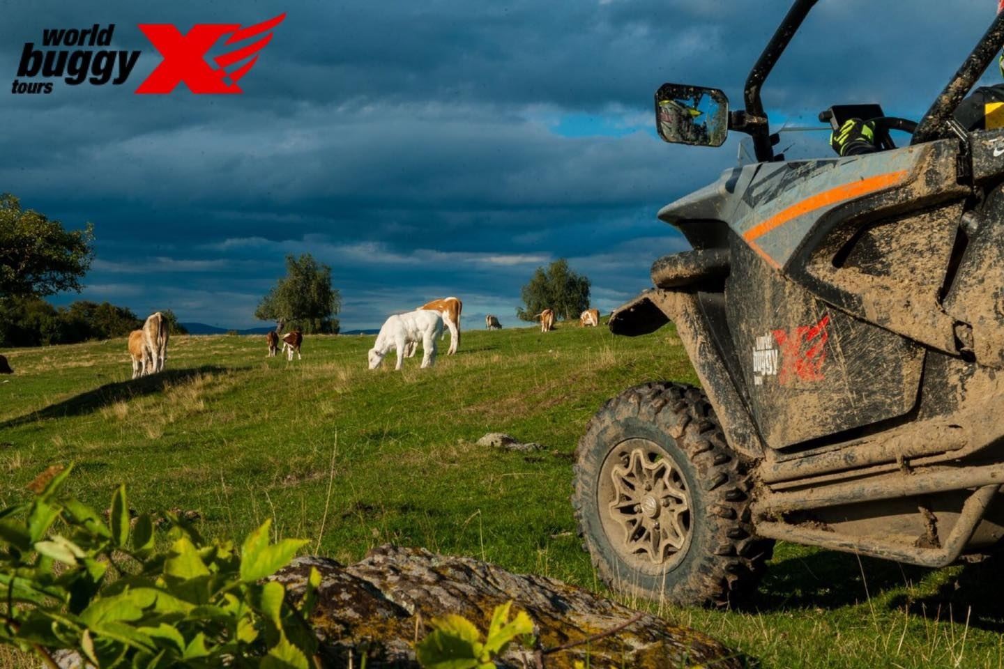 IRON GATE BUGGY RAID