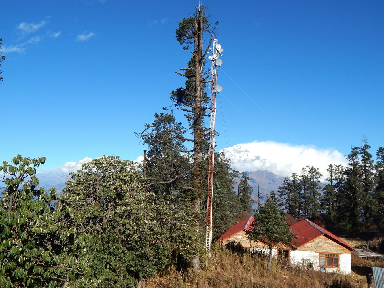 Mohare Danda & Poonhill Trek