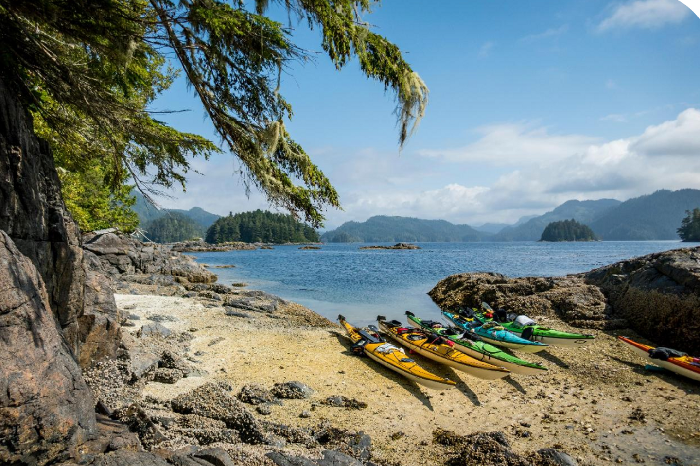 Wild, Sublime North Vancouver Island, Canada