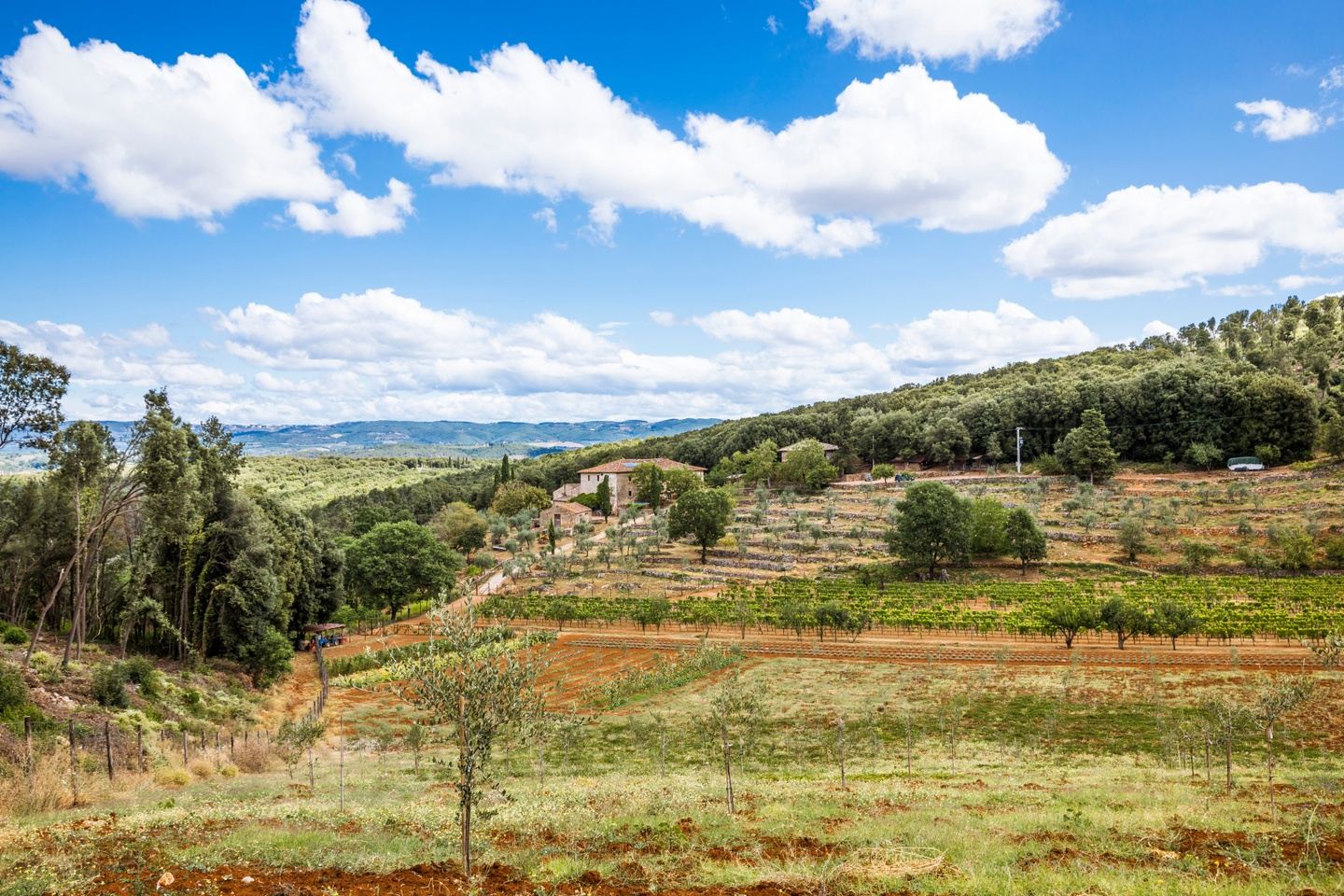 Tuscany Italy Retreat - Yoga, Rest and Roaming (waitlist only)