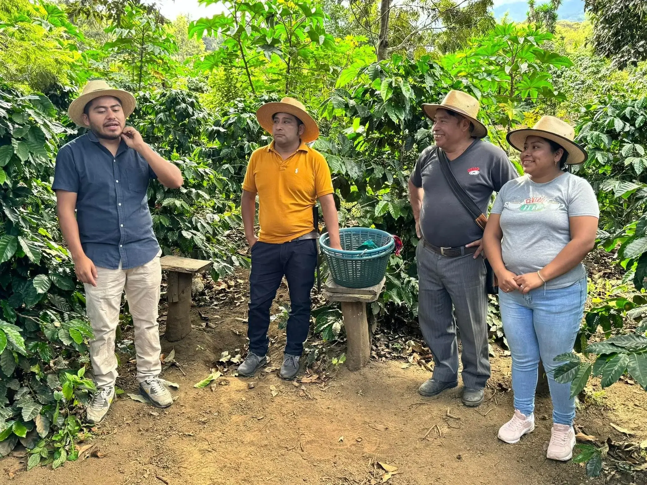 Tour del café en Antigua Guatemala - photo 5