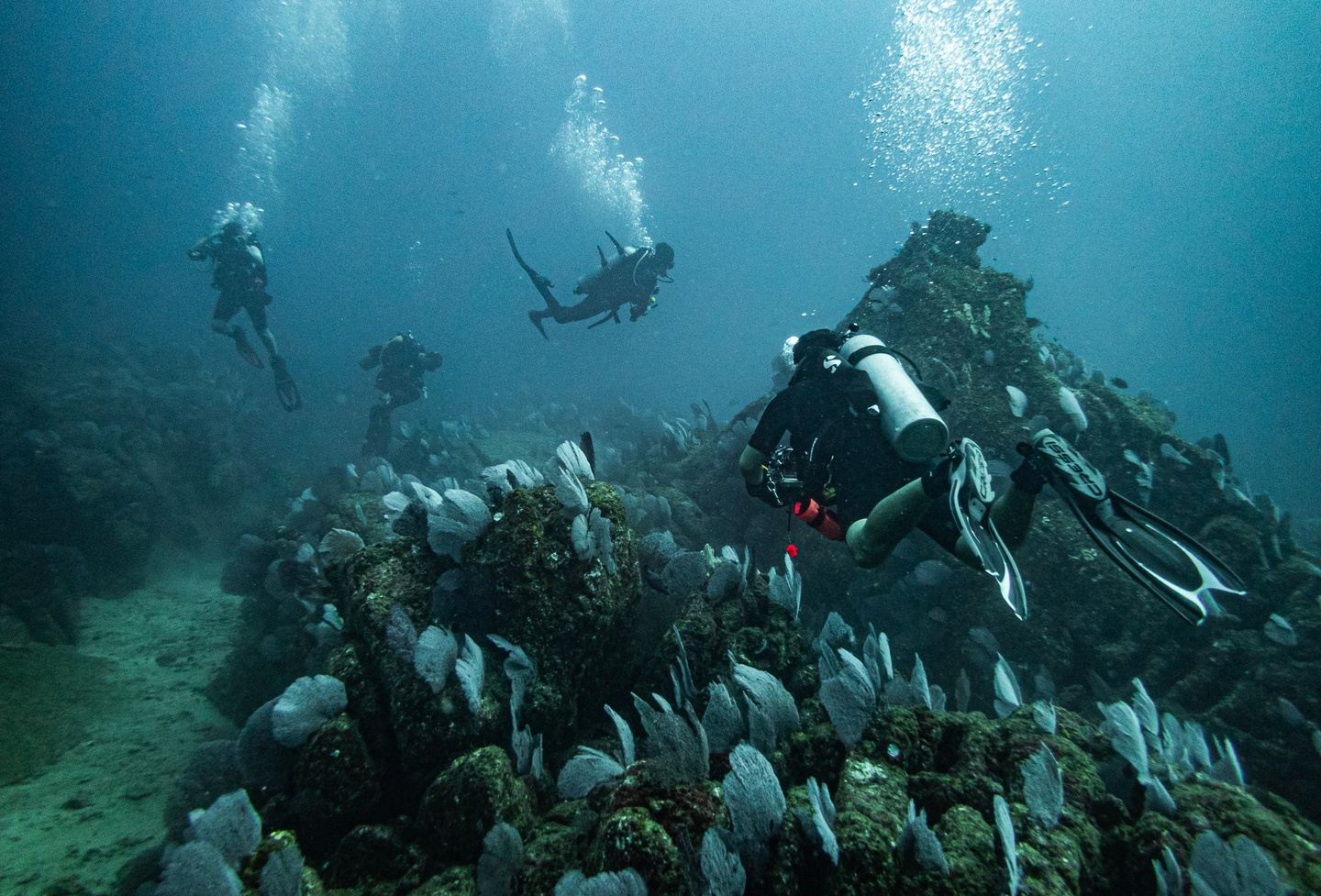 Course - Deep Diver speciality