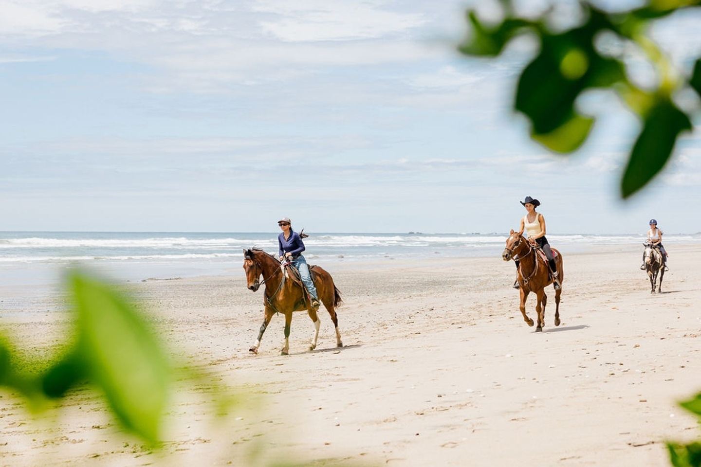 Luna Equine Retreat March 2027