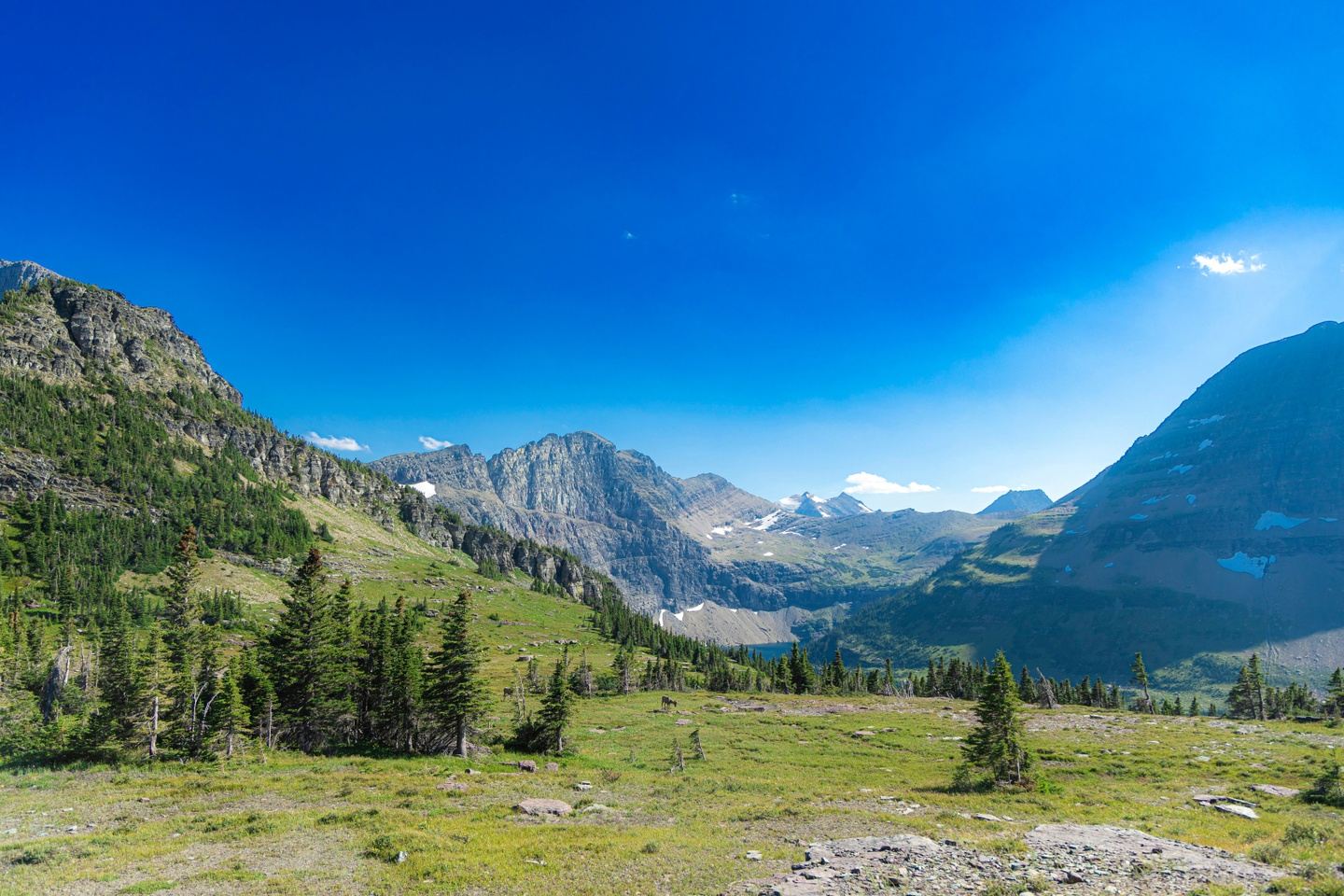 Montana Mountains (Oct 8) (Final Payments)